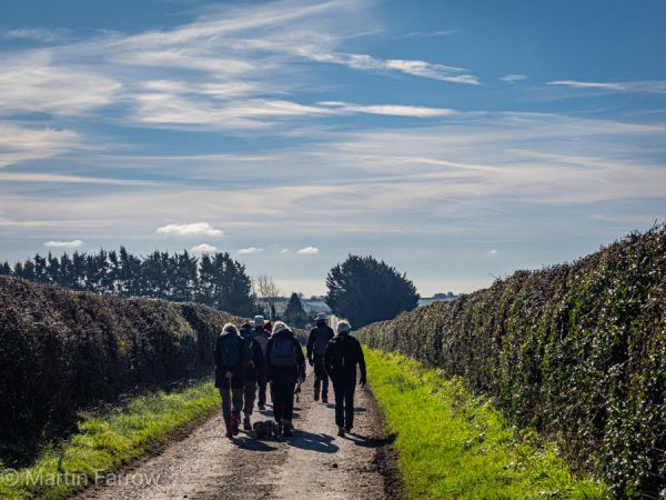 Ramblers walking down track
